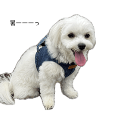 hiro_20250423205746