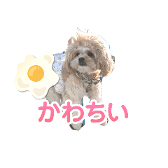 kurumi_20250422183444