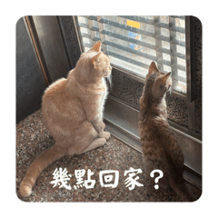 貪吃鬼和調皮鬼