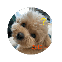 rui_20250423163004