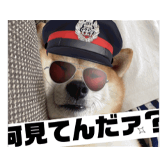 Japanese dog stamp FUKU