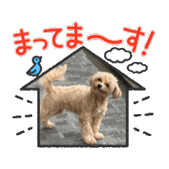 moepin_20250424085712