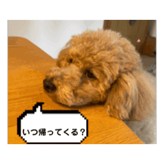 Kotetsu_20250424113612