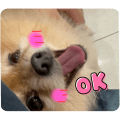你好哈哈喔