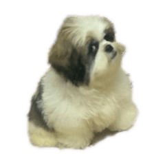 MiMilk_20250422182815