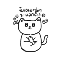 Ky_20250422152649