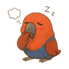 Kikibird