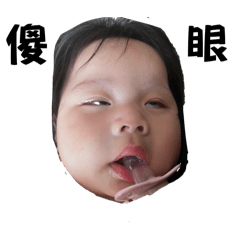 小小萌日常