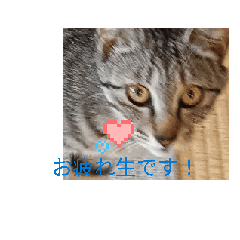 hello_20250424131247