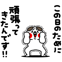 全力いぬポジティブハッピーな一日編