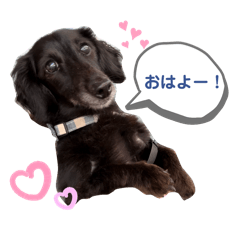 kuuchan stamp 1117