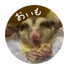 Nagisa_20250423234140
