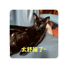 烏漆抹黑梅
