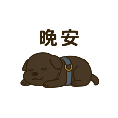 球球小毛孩2