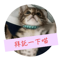 mika meow quotes