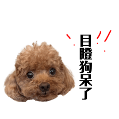 狗頭系列