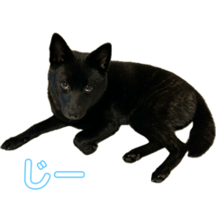 hiro_20250423214937