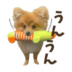 mayu_20250424000612