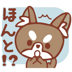 チワワと毎日、いい感じ。