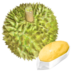 Ripe Durian