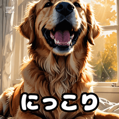 Doggo Feelings