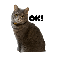mm_20250424100849