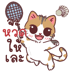 Cute Calico Cat Playing Badminton