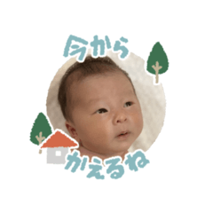 ponzu_20250424100811