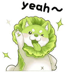 vegetables fariy