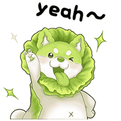vegetables fariy