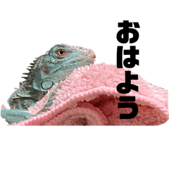 yyy_20250424074536