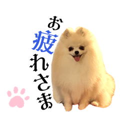 kiki_20250424134002