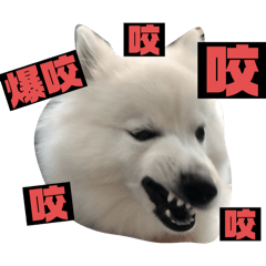 爸比專屬釣魚