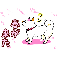 shige_20250424170051