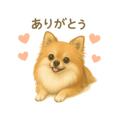tanuki_20250423200133