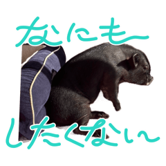 Y_20250424195601