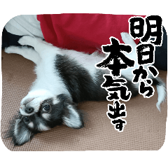 yuka_20250424152547