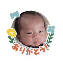 HIKARI_20250424192424