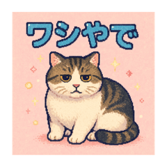 akane_20250424152941
