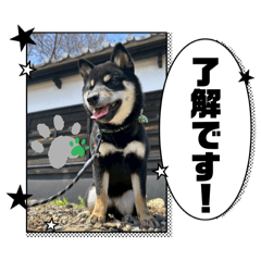 lu_20250424193156