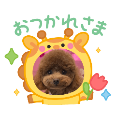 HITOMI_20250424192715