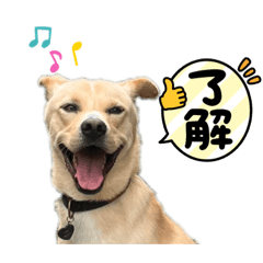 chihiro_20250424211801