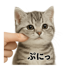 MINA_20250424154145