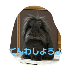 mimi_20250424215122