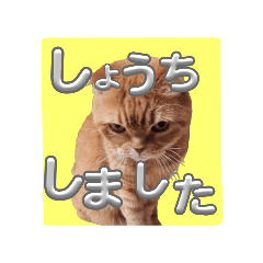 mimisuko1