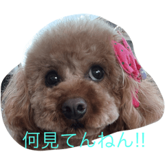 KURO_20250424220051
