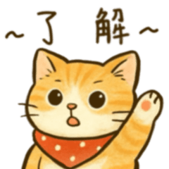 Furball Diary