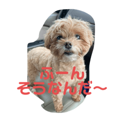 taka_20250424160206