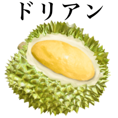 Ripe Durian 2