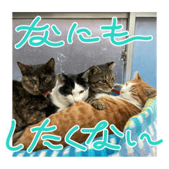 Mimi_20250424194350